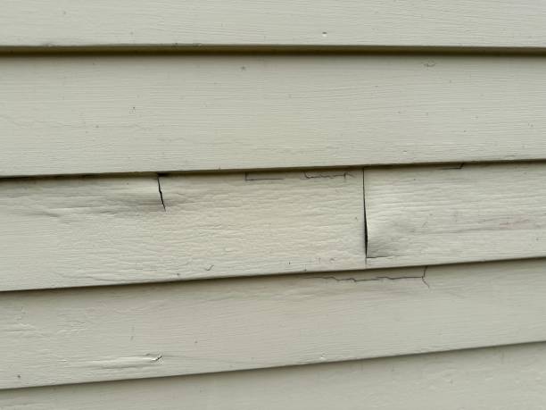 Best Custom Siding Design  in Silver Bay, MN